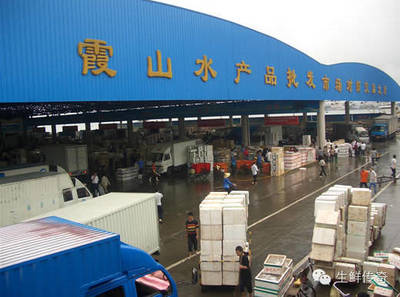 讓天下沒有難賣的魚蝦！探秘中國主要水產品批發市場