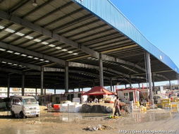 春節前的水產品農貿批發市場 年味、忙碌與希望的匯聚地