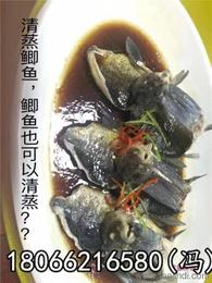探尋可靠的水產品批發貨源 保障供應鏈的穩定與品質