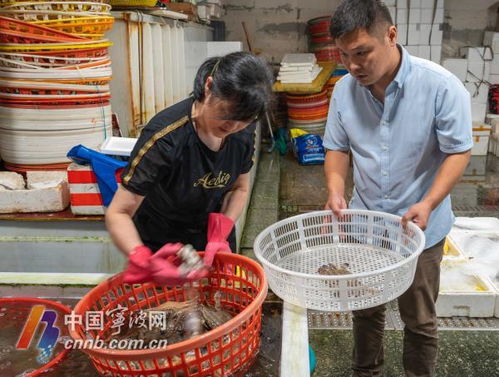 假期熱門海鮮價格跳水，消費者成最大贏家