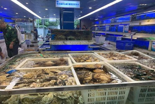 探秘中國最知名的32個海鮮市場 從捕撈到餐桌的味覺之旅與日用百貨銷售之魅